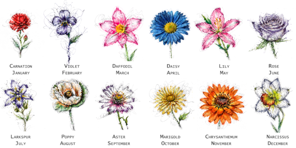 Monthly Birth Flowers